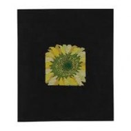 Sunflower 13-3363